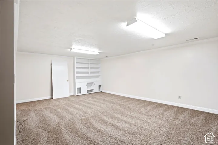 Neutral-toned carpeting, white walls, built-in shelving, white trim, and ceiling-mounted lighting fixtures