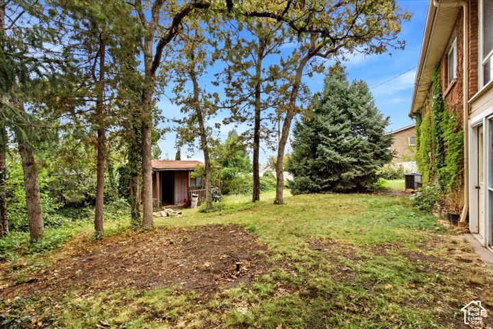 Expansive backyard featuring mature trees, a detached storage shed, a manicured lawn, and a brick exterior with climbing greenery