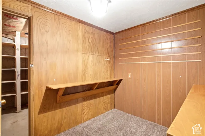 Wood-paneled room featuring a built-in shelving unit, a wall-mounted desk, and carpet flooring
