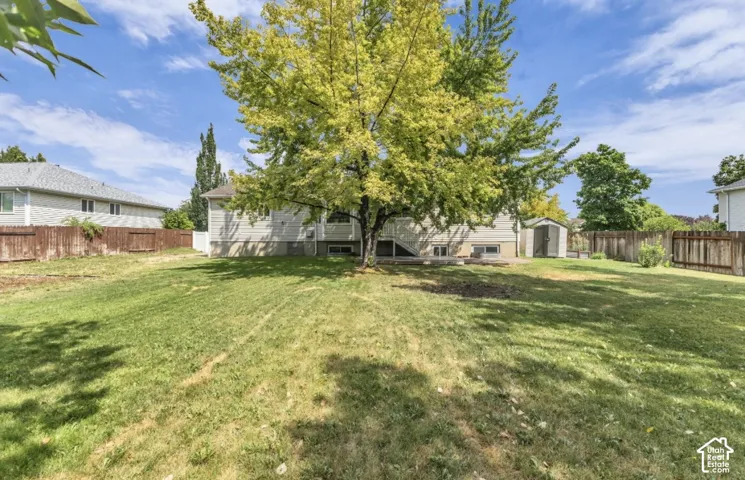 Expansive backyard featuring a large tree, grass lawn, and a wood privacy fence