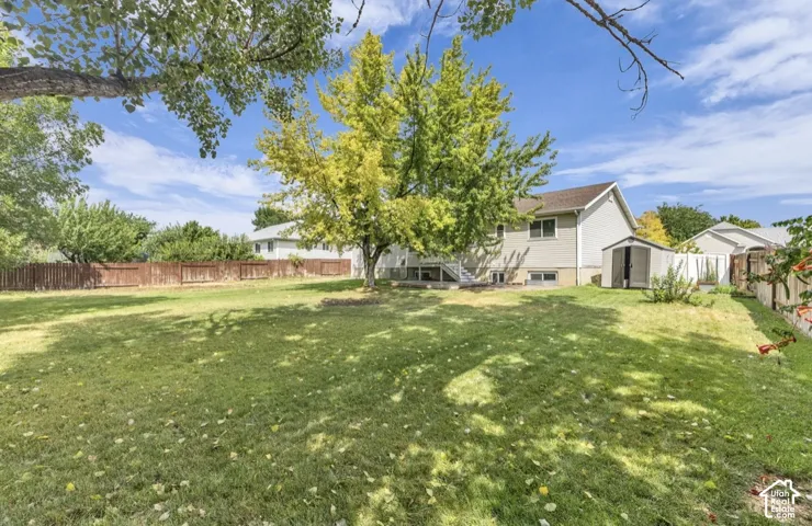 Expansive yard with mature trees, wooden privacy fencing, and a detached storage shed