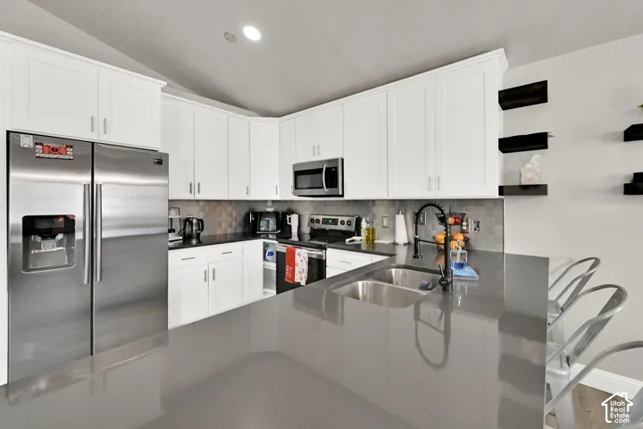 1436 N Spring Mountain Dr, Springville, Utah 84663