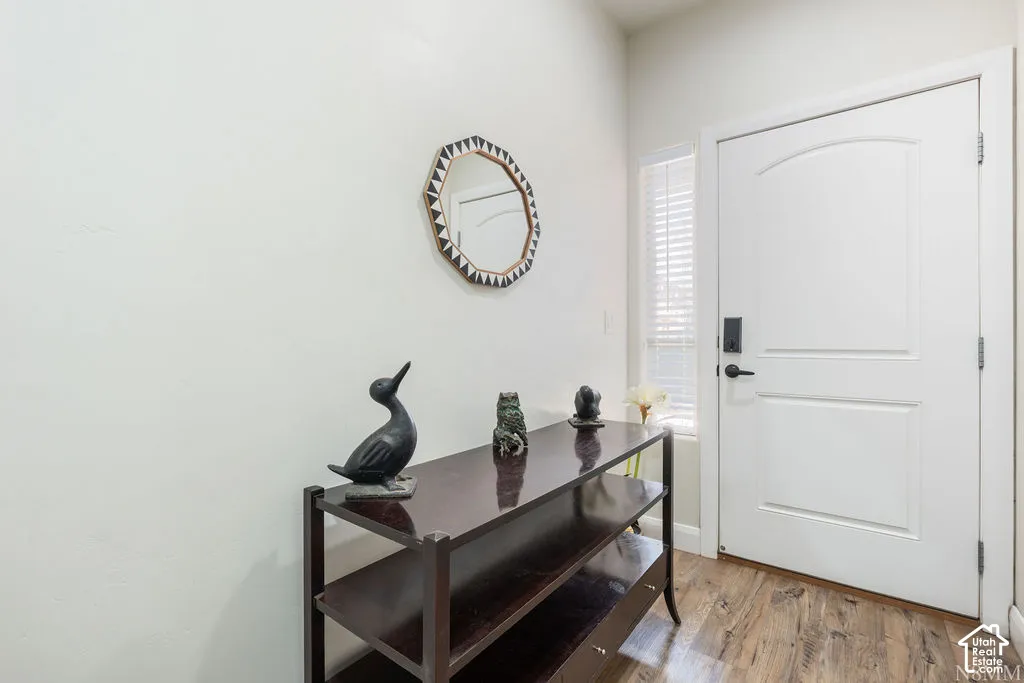 Entryway featuring wood-finish flooring, a white paneled door with an arched top panel, and a side window with blinds