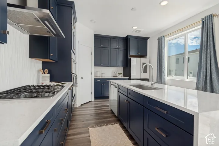 Kitchen featuring dark blue cabinetry, light-toned countertops, wood-finish flooring, a stainless steel range hood, and a built-in kitchen island with an undermount sink