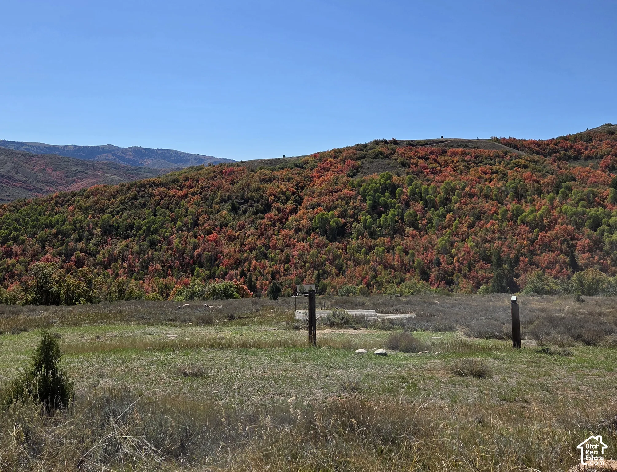 Expansive natural landscape with varied foliage, including vibrant red and green trees