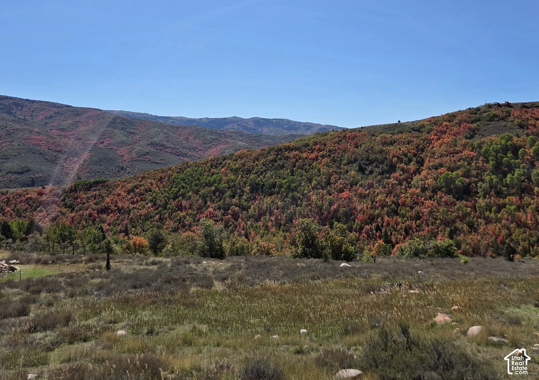 Expansive mountain landscape featuring varied foliage