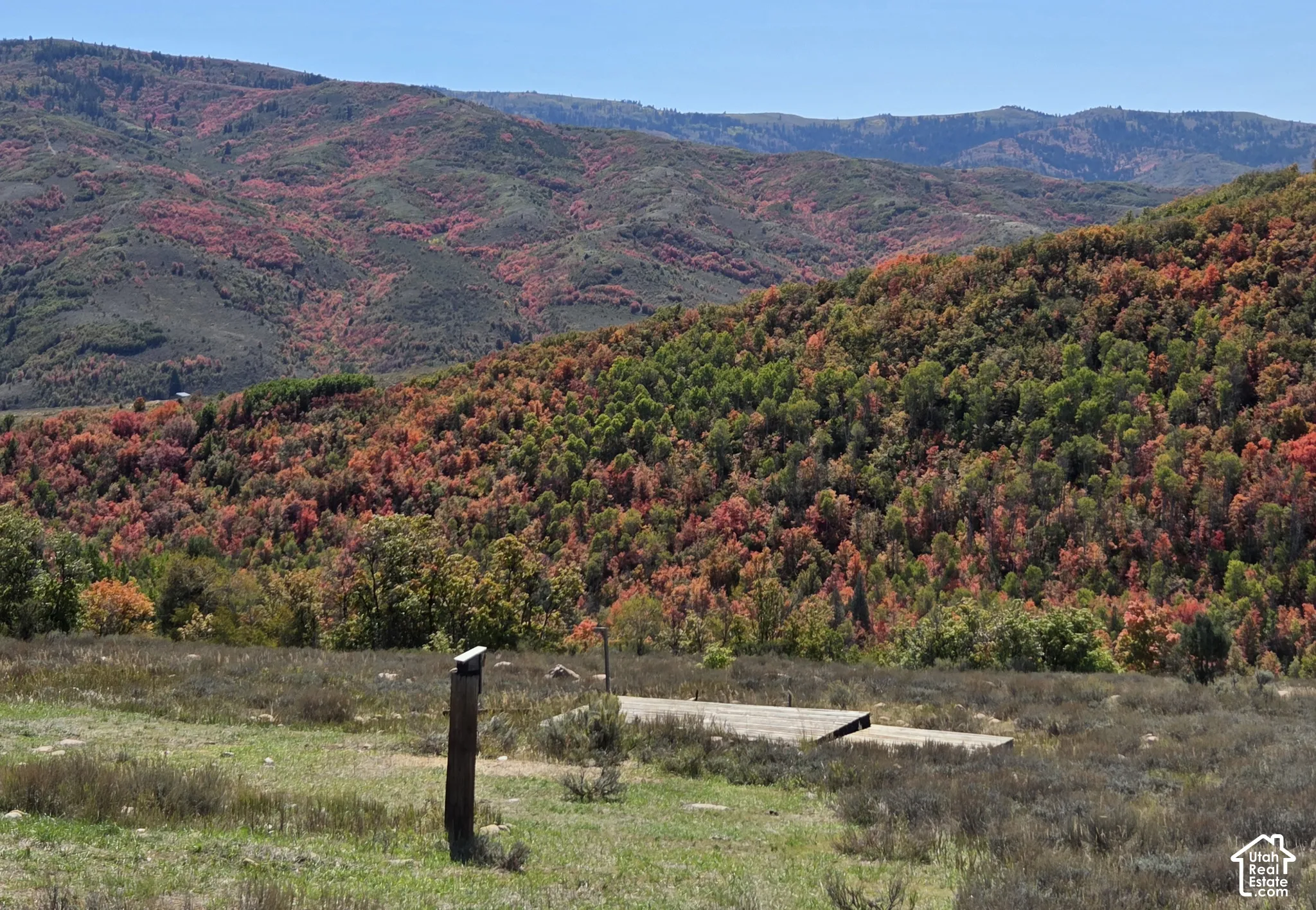Expansive mountainous terrain with varied foliage