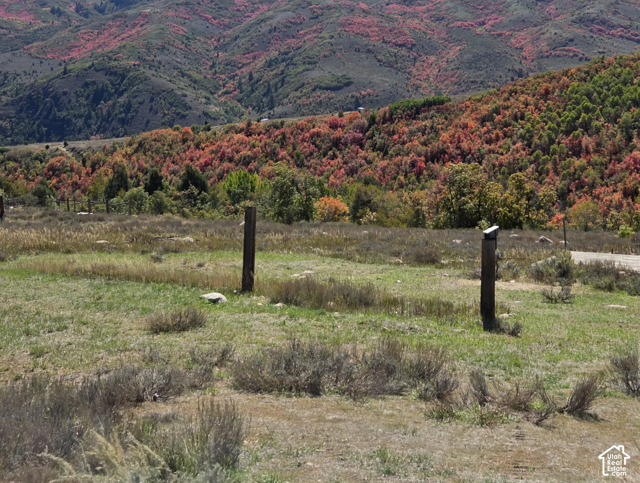 Expansive natural landscape with varied terrain and vibrant autumnal foliage