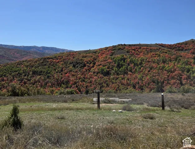 Expansive natural landscape with varied foliage, including vibrant red and green trees