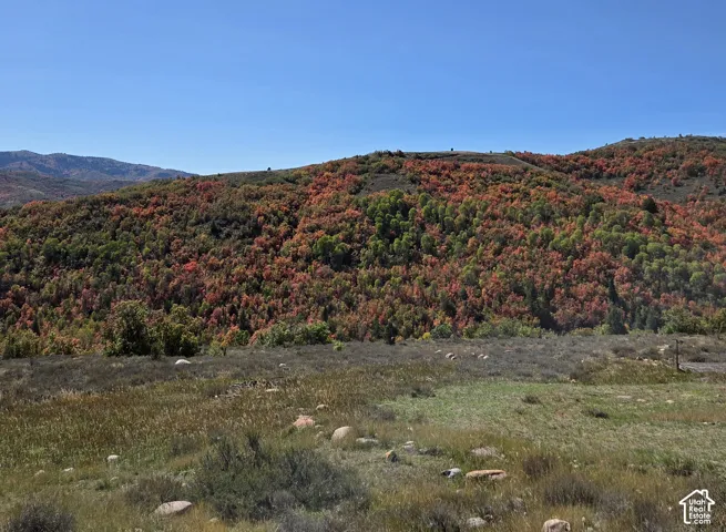 Expansive natural landscape featuring rolling hills, varied foliage, and a clear sky