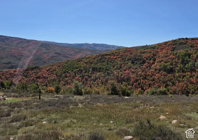 Expansive mountain landscape featuring varied foliage