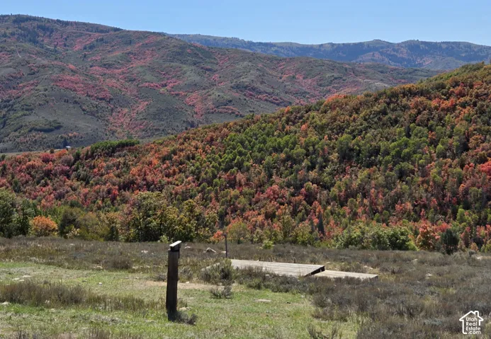 Expansive mountainous terrain with varied foliage