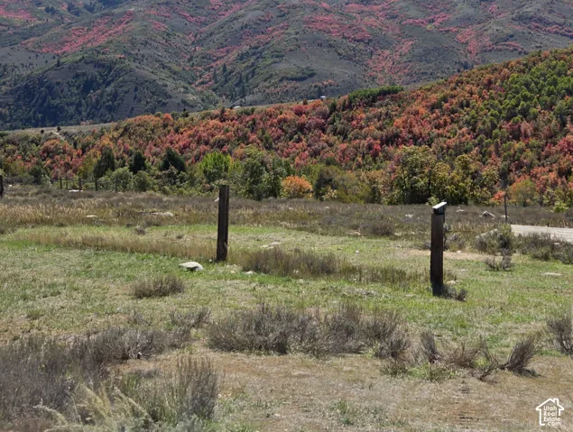 Expansive natural landscape with varied terrain and vibrant autumnal foliage