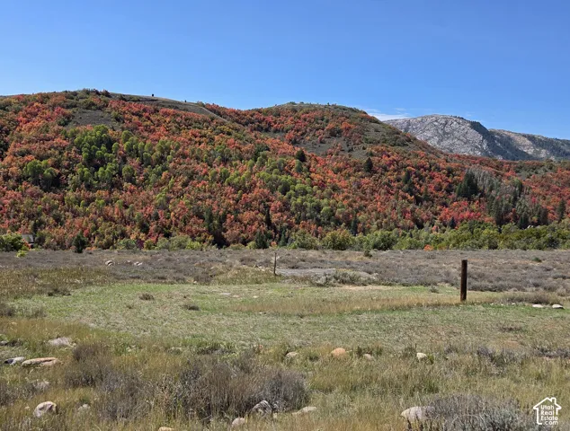 Expansive natural landscape featuring rolling hills, varied foliage, and distant rock formations