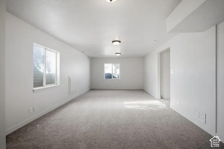 Neutral gray carpeting, white walls, and multiple windows