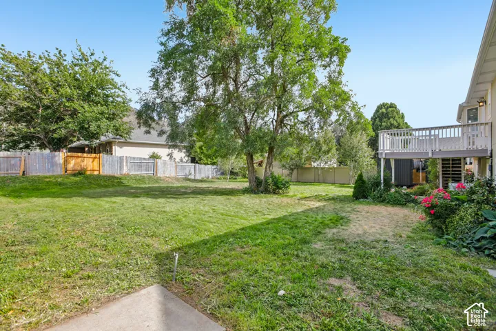 Expansive backyard featuring mature shade trees, manicured lawn, and defined garden beds with flowering shrubs