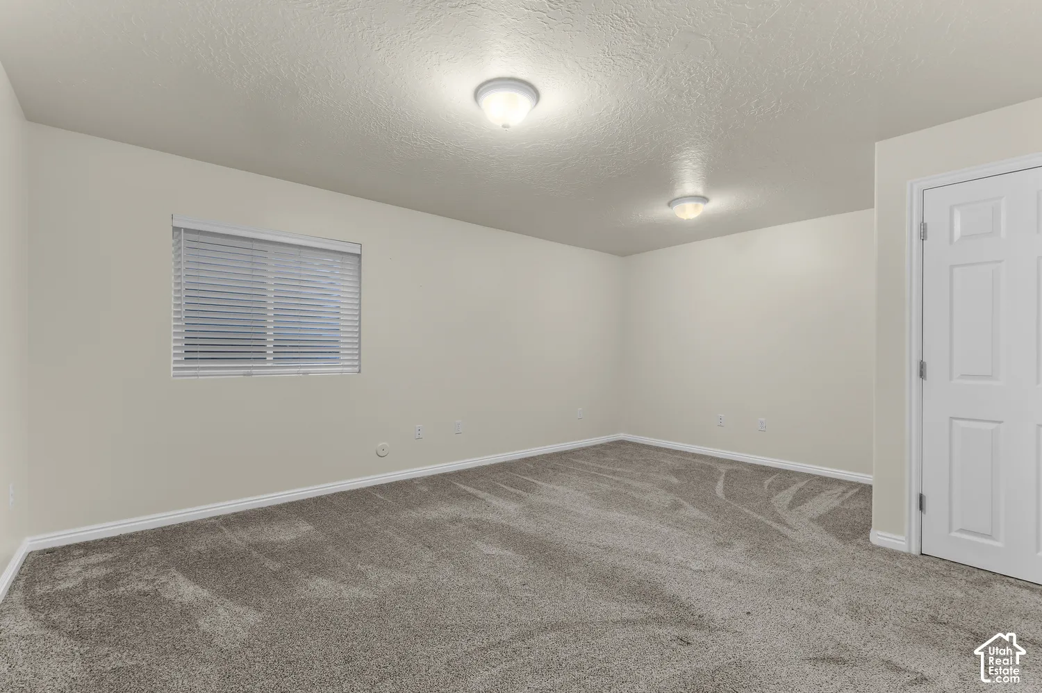 Large basement bedroom. Neutral tone wall finishes, newer carpet