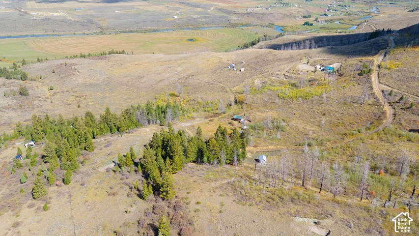 Expansive landscape featuring scattered evergreen trees and sparse vegetation