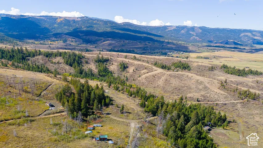 Expansive mountain acreage featuring natural terrain, mature evergreen trees, and distant mountain ranges
