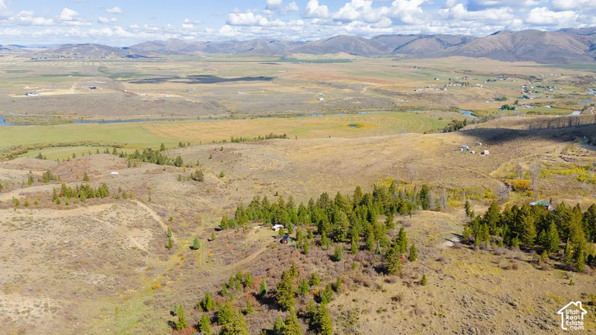Expansive landscape featuring rolling hills, mature trees, and distant mountains