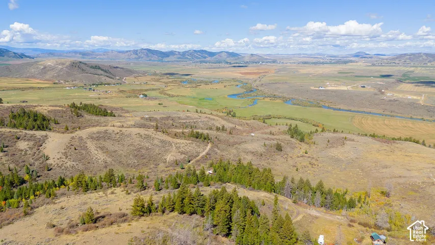 Expansive landscape featuring rolling hills, scattered evergreen trees, and distant mountains