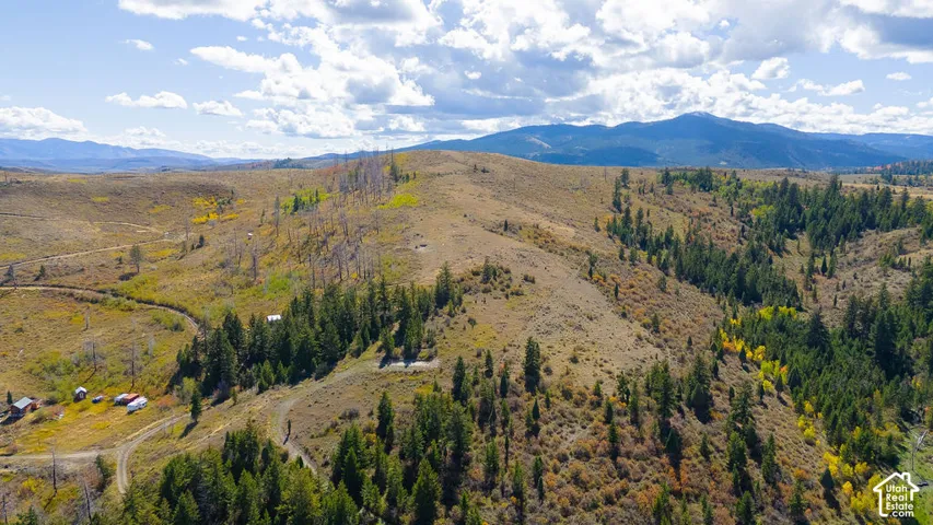 Expansive acreage featuring rolling hills, mature evergreen trees, scattered deciduous trees, and distant mountain ranges