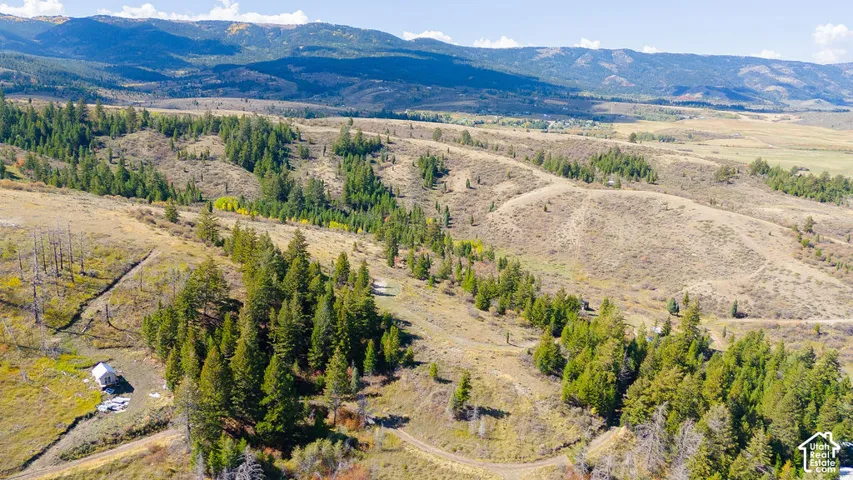 Expansive mountainous terrain featuring scattered evergreen trees and dry brush, with a distant structure visible