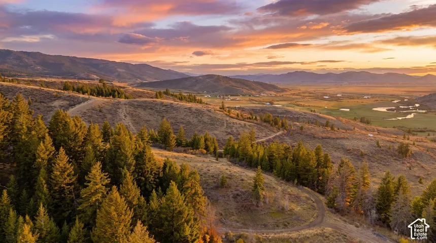 Expansive rolling terrain with scattered evergreen trees and distant mountain ranges