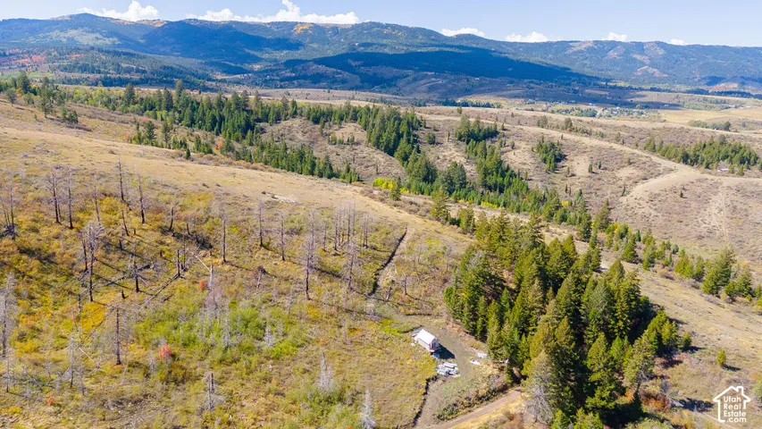 Expansive mountain landscape featuring varied topography, mature evergreen trees, and a distant valley
