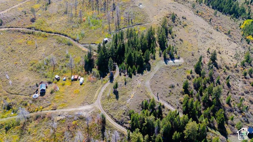 Expansive, sloped terrain featuring natural vegetation and scattered evergreen trees