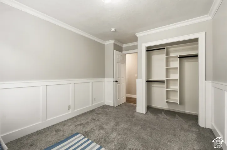 Crown molding, wainscoting, and textured carpeting