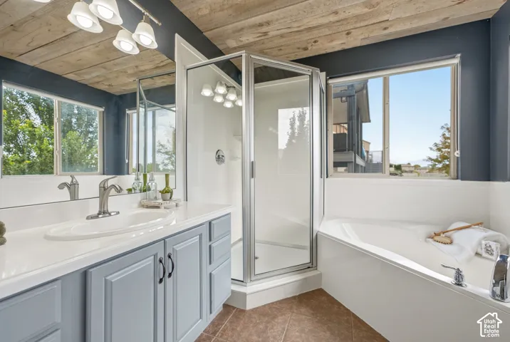 Wood-finish ceiling with track lighting, dual-pane windows, built-in soaking tub, glass-enclosed corner shower, and a vanity with a white countertop and undermount sink