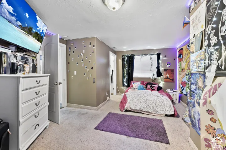 Wall-to-wall carpeting with painted walls and a ceiling-mounted light fixture
