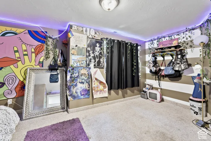 Second view of basement bedroom