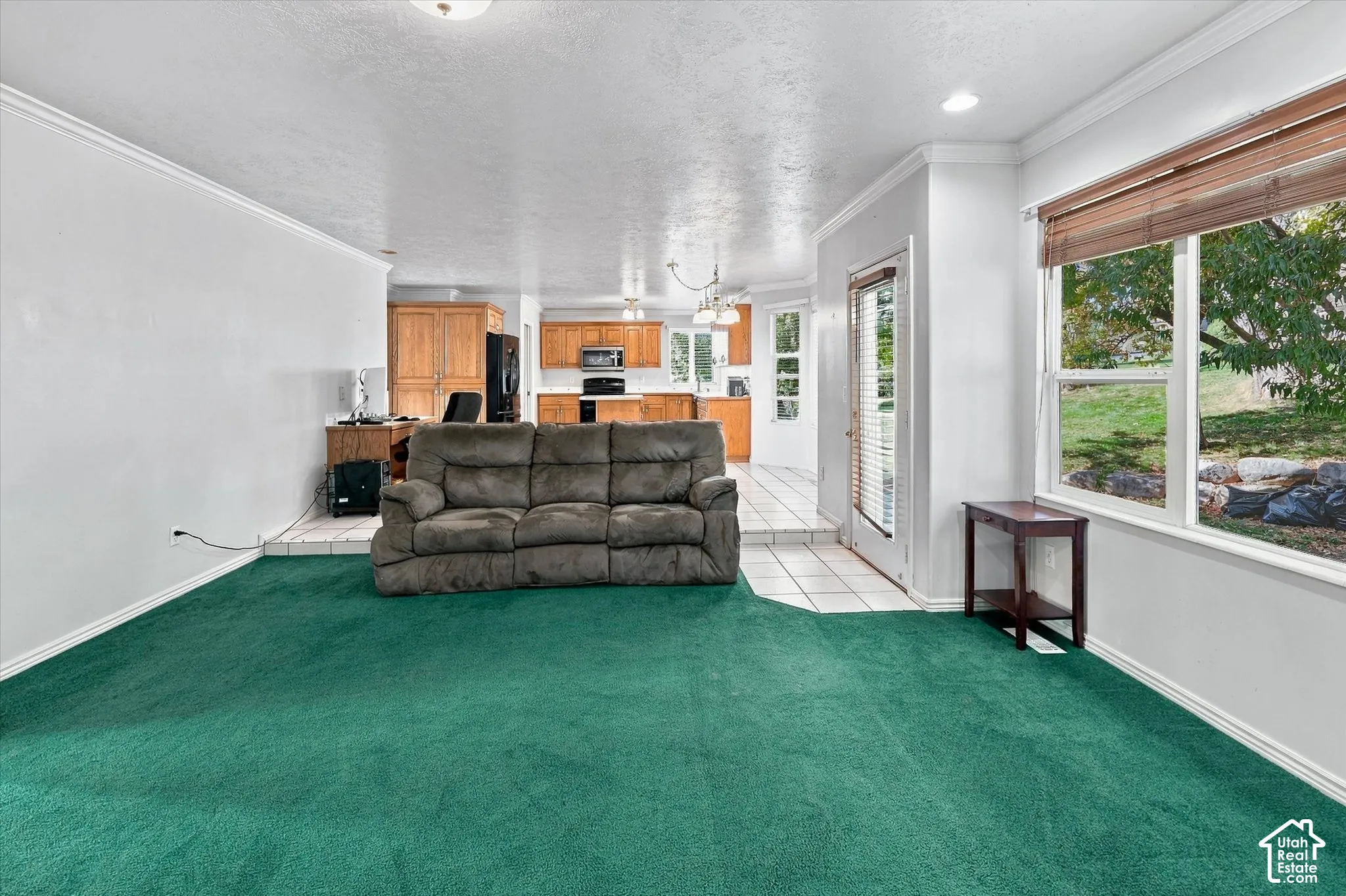 Spacious living area with green carpeting, white baseboards, and crown molding