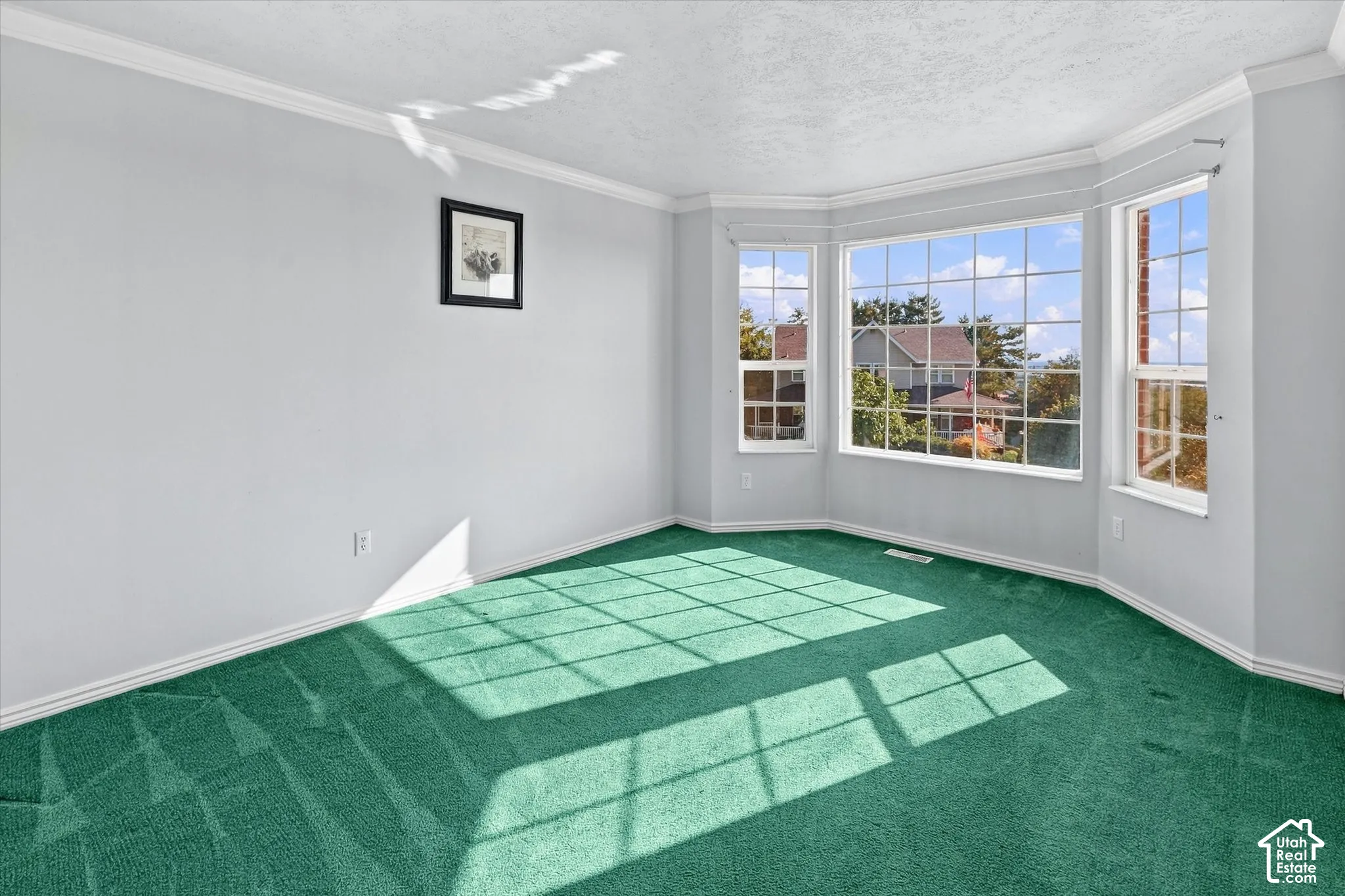Bay window with multiple grid-patterned panes, crown molding, light-toned walls, and green carpet flooring
