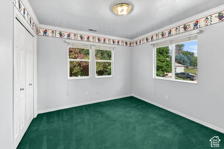 Dual windows providing abundant natural light, wall-to-wall carpeting, and a flush-mount ceiling light fixture