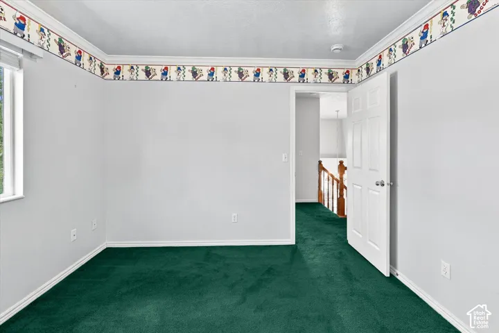 Green carpet flooring, white painted walls, white trim, and a white interior door