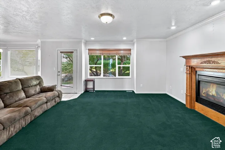 Built-in fireplace with wood-finish mantel, green carpet, and multiple windows