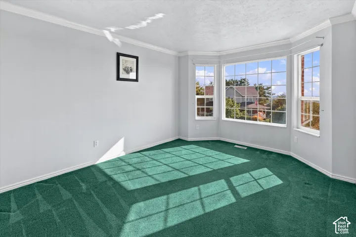 Expansive bay window, crisp white trim, crown molding, and wall-to-wall carpeting
