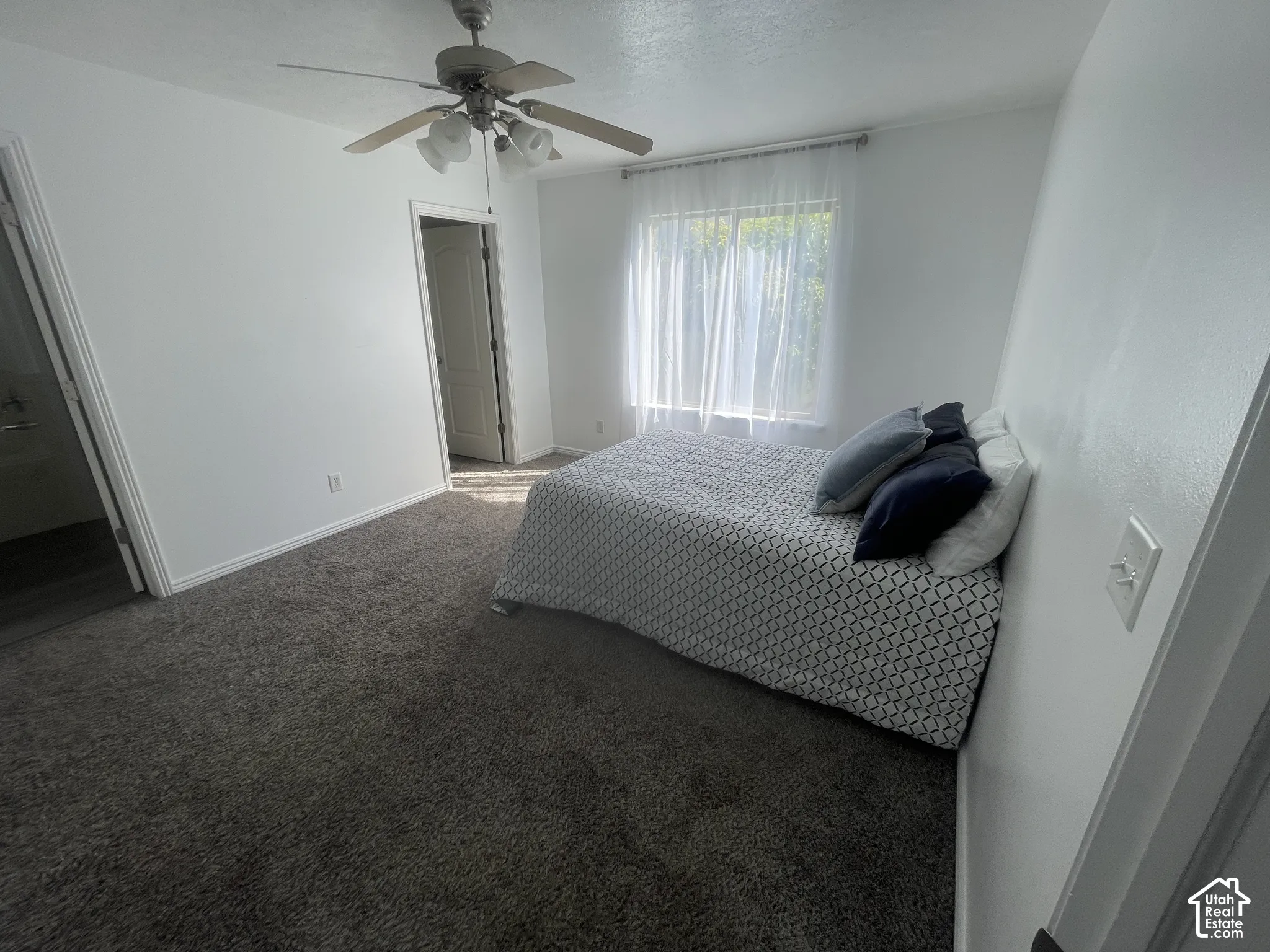 Plush carpeting, a ceiling fan with light fixture, and a window with natural light