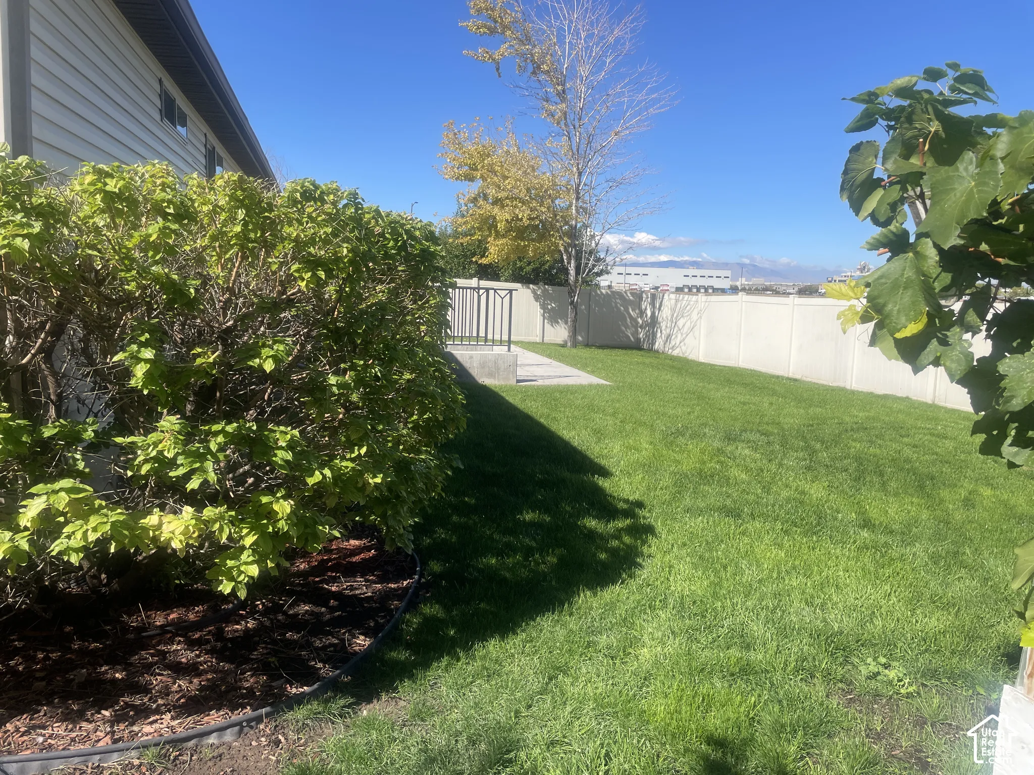 Expansive backyard featuring a manicured lawn, mature landscaping with established shrubs and trees, and a white vinyl privacy fence