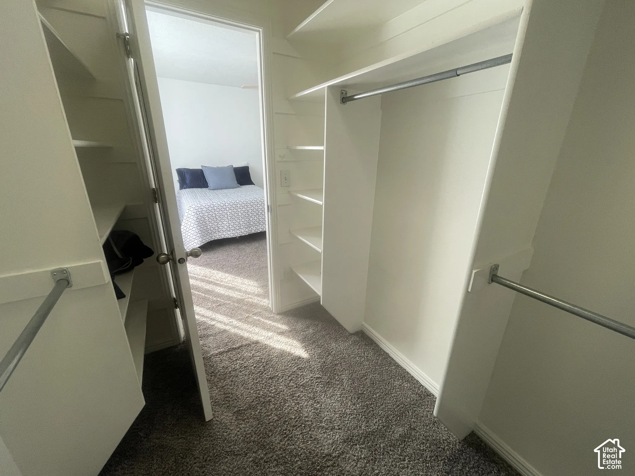 Walk-in closet with built-in shelving, multiple hanging rods, and carpet flooring