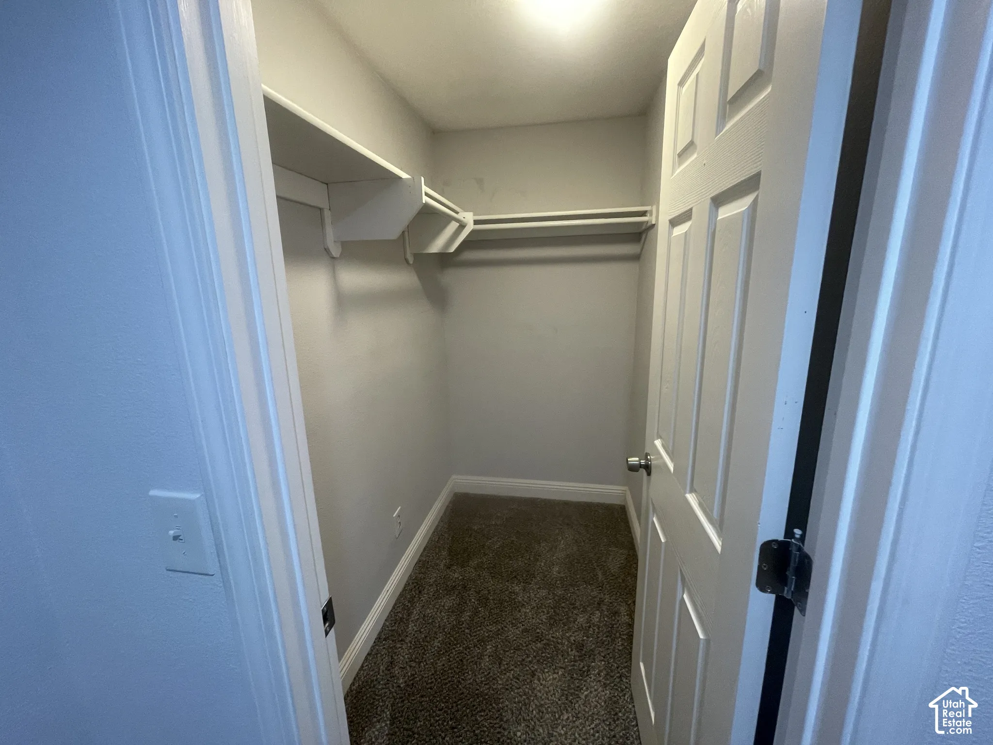 Carpeted closet with built-in shelving, clothing rod, and overhead lighting