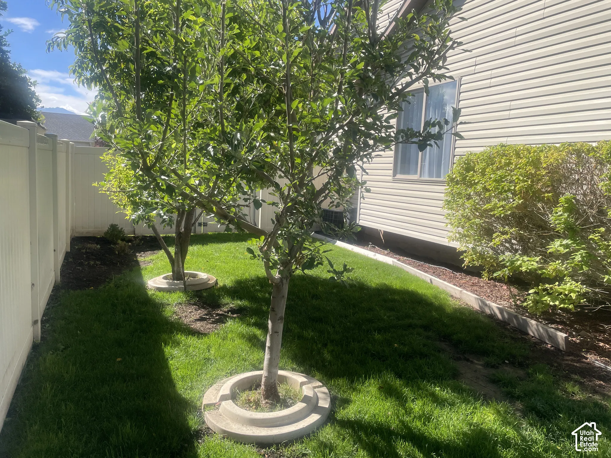 Manicured lawn with mature trees and a privacy fence