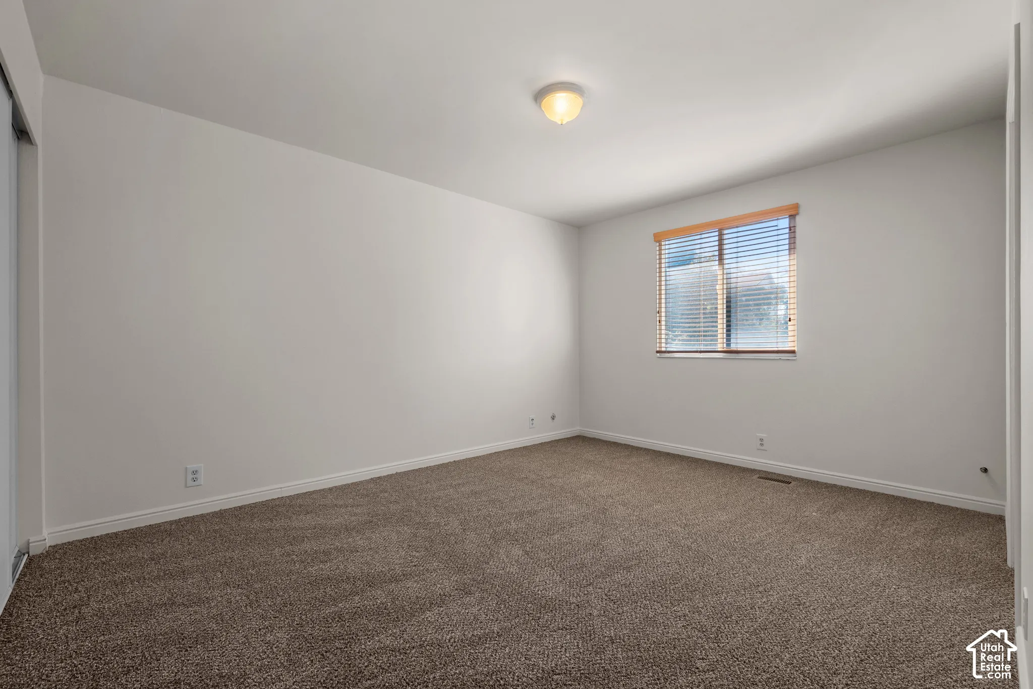 Plush carpeted flooring, a flush-mount ceiling light, and a window with wood blinds