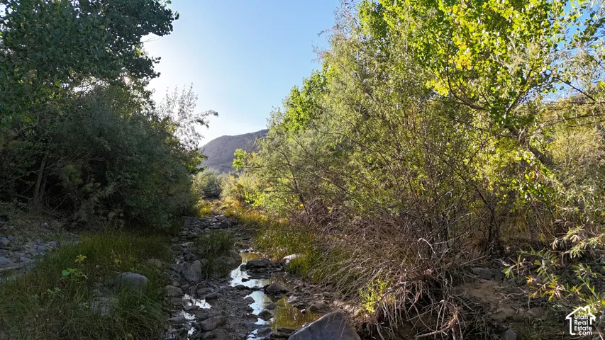 Rocky terrain featuring lush foliage, mature trees, and natural light