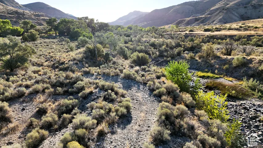 Natural landscape featuring a riverbed, varied vegetation, and distant mountains