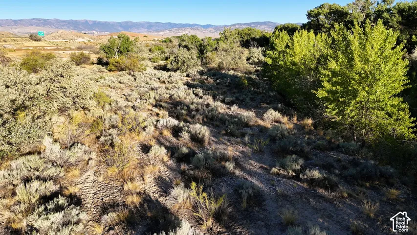 Expansive land parcel featuring natural desert vegetation, mature trees, and a distant mountain backdrop