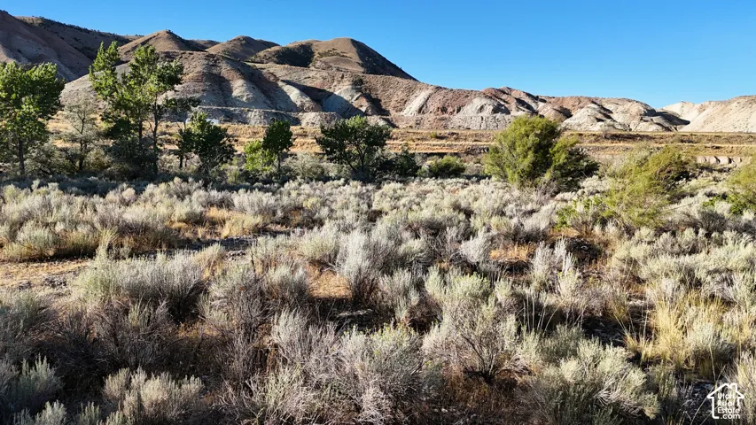 Expansive natural landscape featuring varied terrain, a clear blue sky, and distinct distant hills